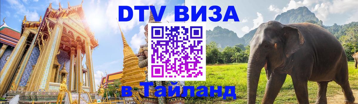Оформление DTV визы под ключ: стоимость и тарифы, только загранпаспорт - 